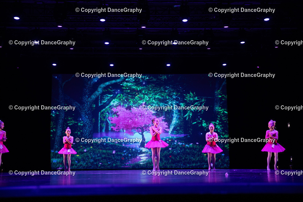 GPHY5021 | DanceGraphy - Realisiert mit Pictrs.com