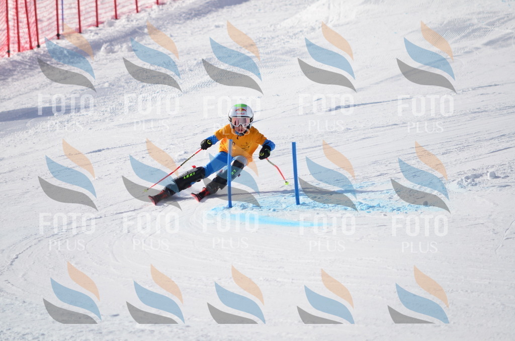 C6521 | holidayphoto