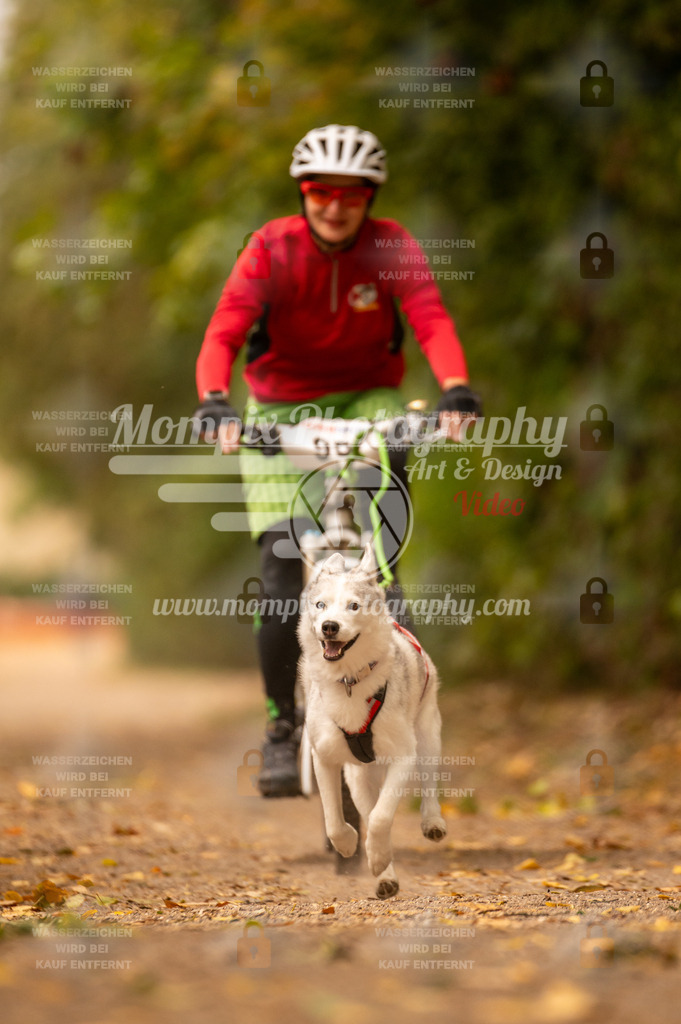 CDLBDB_14_10_2023_Samedi-141 | PayLife