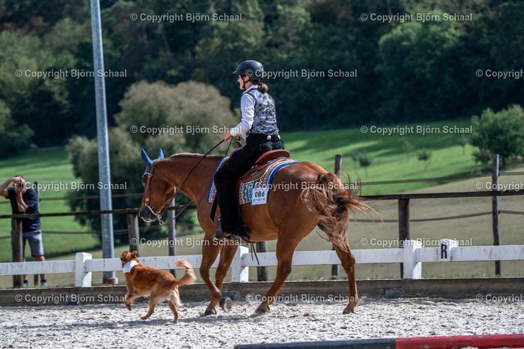 HOB00892 | BS-foto