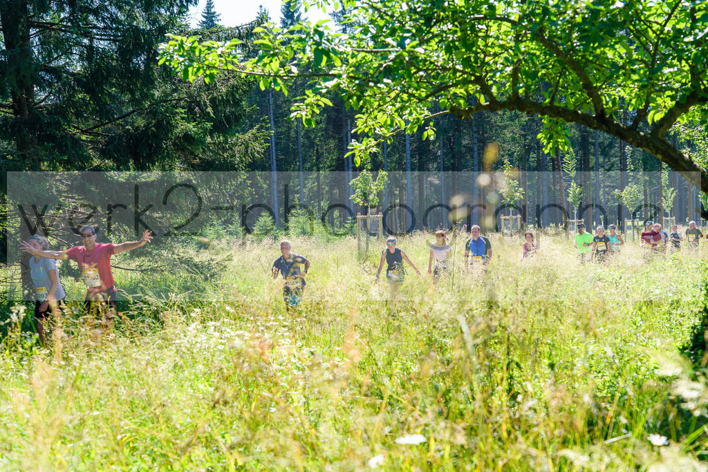 Schneekopflauf 2024 | Am 6. Juli 2024 startete der 21. Schneekopflauf von Schmiedefeld zum Schneekopf.