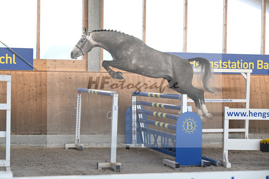 Kat-Nr. 5 Ziroccos Blanc v. Zirocco Blue_Engelbrecht_14262078 | hf-fotografie - Realisiert mit Pictrs.com