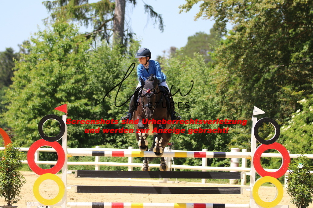 IMG_2491 | lmwpictures - Realisiert mit Pictrs.com