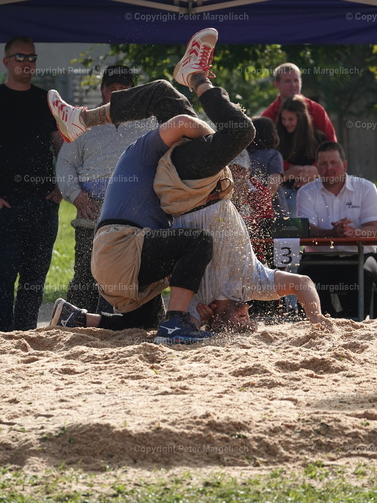 DSC05808 | Schwingen - Realized with Pictrs.com