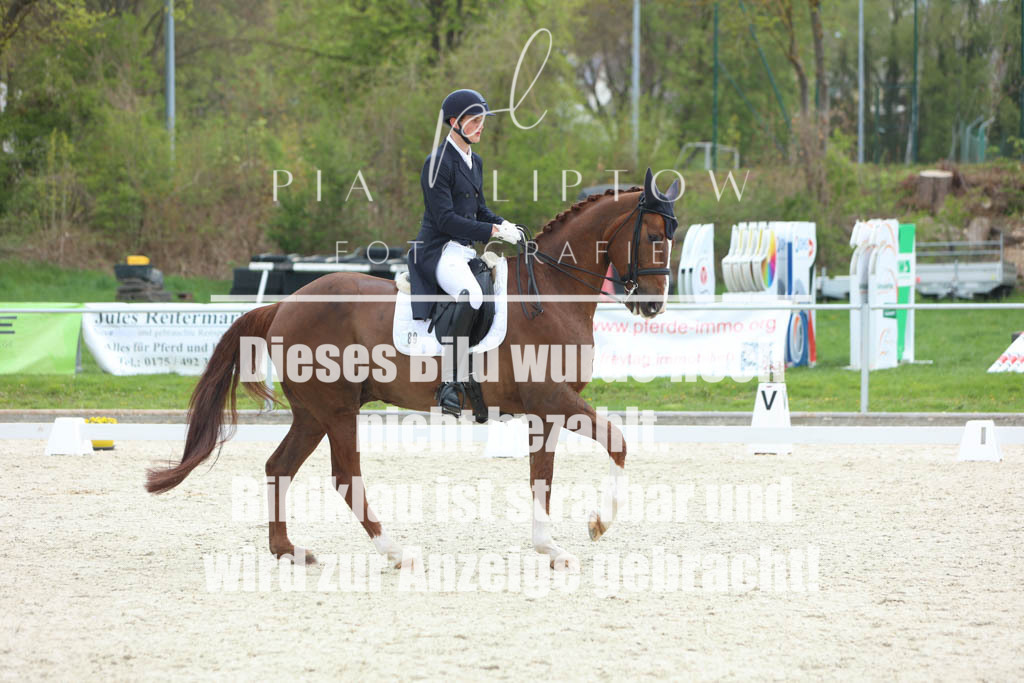 IMGM7738 | pl-fotografie