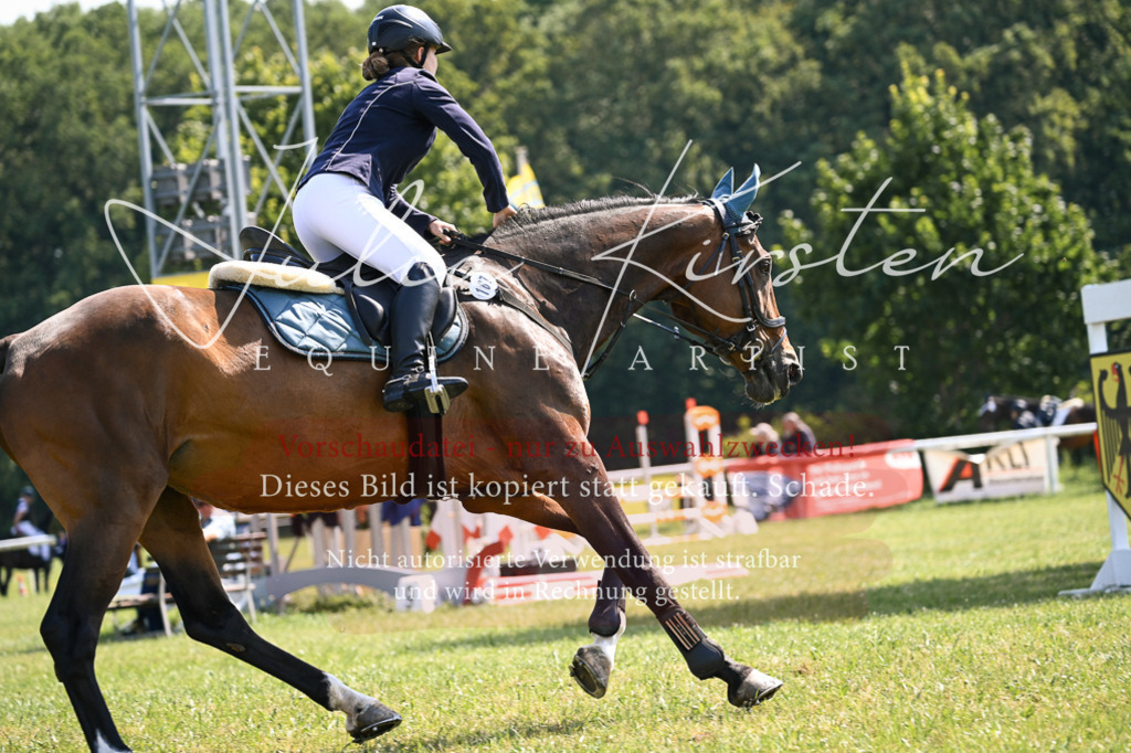 DSC_8981 | Pferde- und Turnierfotografie in Westsachsen. Pferdeportraits, Auftragszeichnungen und intuitive Kunst.