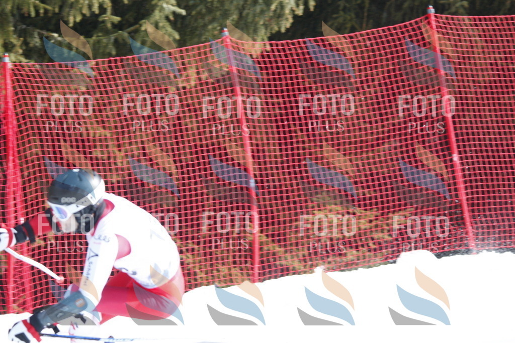 D6831 | holidayphoto