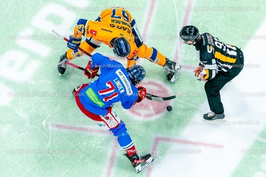 xKKUx25012601056 | 25.01.2026, xkkux, Eishockey, DEL2, Düsseldorfer EG - Lausitzer Füchse, PSD Bank Dome Düsseldorf: Ture Linden (DEG #71)  Tom Knobloch (Lausitz Füchse #67) beim Kampf um den Bully