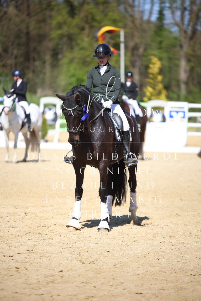 IMGT8173 | pl-fotografie