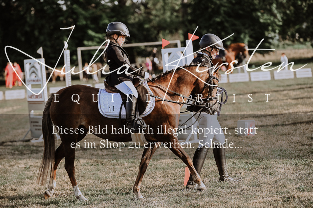 DSC_0097 | Pferde- und Turnierfotografie in Westsachsen. Pferdeportraits, Auftragszeichnungen und intuitive Kunst.