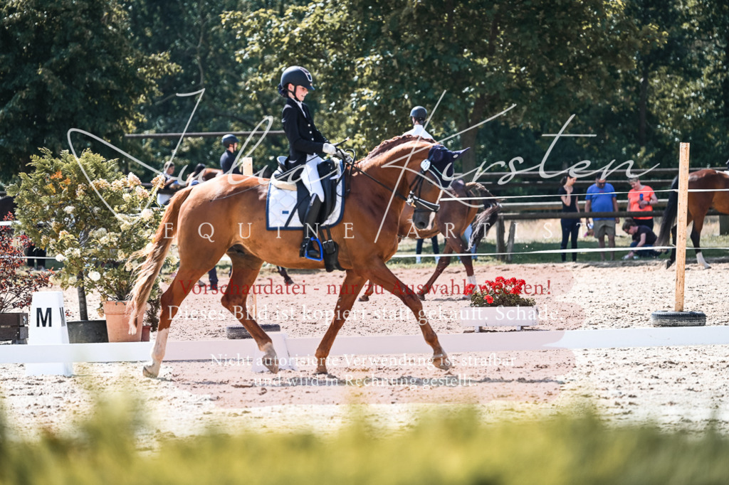 DSC_5080 | Pferde- und Turnierfotografie in Westsachsen. Pferdeportraits, Auftragszeichnungen und intuitive Kunst.