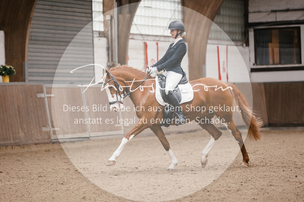3I6A6427 | Stimmungsvolle Portraits und Reitsportfotografie im Ruhrgebiet und im Münsterland.

Pferdefotografie, Hundefotografie, Tierfotografie, Reportagen, Portraits von Tier und Mensch, Turnierfotografie in Bochum, Recklinghausen, Marl, Haltern am See, Dülmen.. - Realisiert mit Pictrs.com