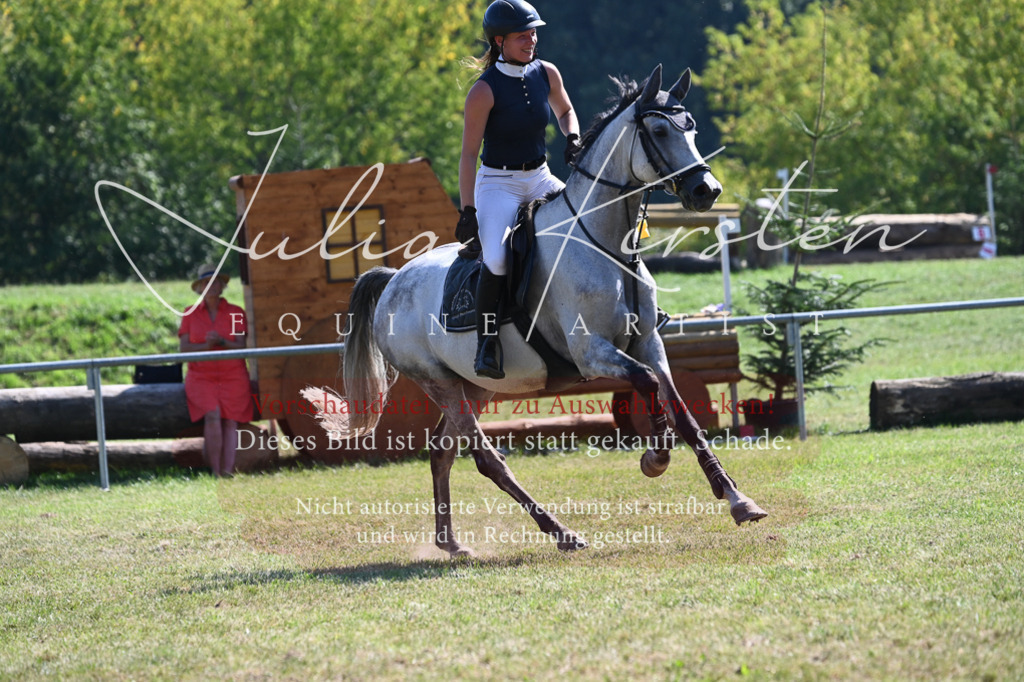 DSC_6504 | Pferde- und Turnierfotografie in Westsachsen. Pferdeportraits, Auftragszeichnungen und intuitive Kunst.