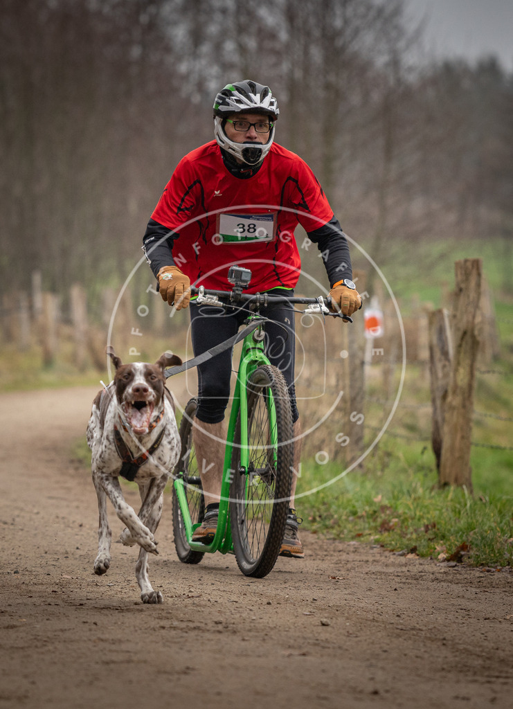 Pfotenfotografie_DV3A2535 | Hundefotografie, Tierfotograf, Pfotenfotografie, Fotoshooting Hund, Hunde Portrait, Hundesport, Hundeportraits, Heideshooting, Hunde, Sportfotograf, Hundefotograf, Turnierhundsport, THS,  - Realisiert mit Pictrs.com
