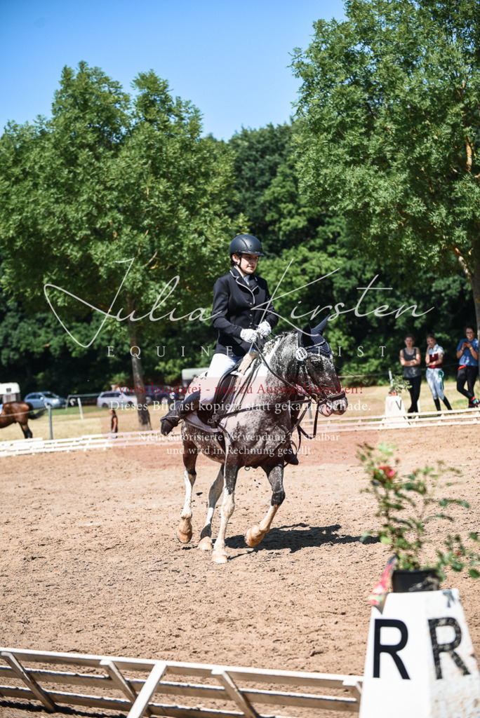 DSC_3238 | Pferde- und Turnierfotografie in Westsachsen. Pferdeportraits, Auftragszeichnungen und intuitive Kunst.