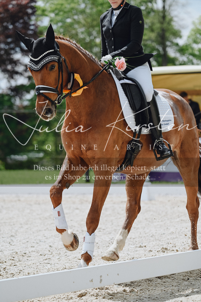 20230512_JK-Röhrsdorf-03-123 | Pferde- und Turnierfotografie in Westsachsen. Pferdeportraits, Auftragszeichnungen und intuitive Kunst.