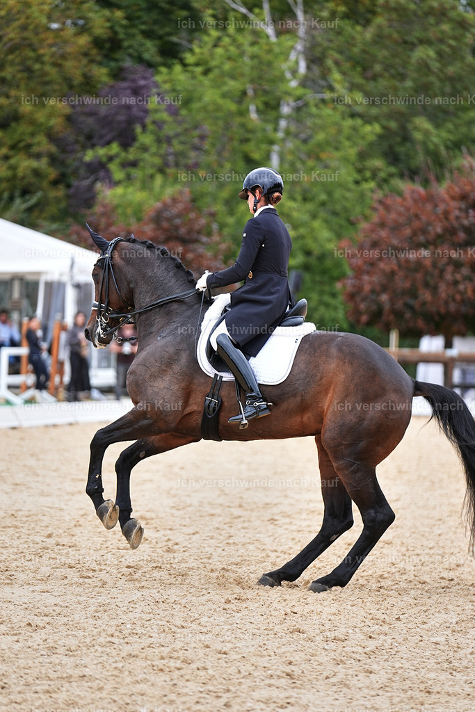 11-110-Dressur S___-Marixx-1544 | working equitationturnier fotograf videograf stoibphotography marixx film working equitation deutschland reitsport turnierfotografie eventfotografie equestrian events