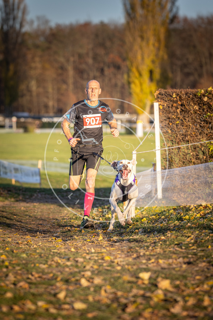 CaniXpix_DV3A4727 | Hundefotografie, Tierfotograf, Pfotenfotografie, Fotoshooting Hund, Hunde Portrait, Hundesport, Hundeportraits, Heideshooting, Hunde, Sportfotograf, Hundefotograf, Turnierhundsport, THS,  - Realisiert mit Pictrs.com
