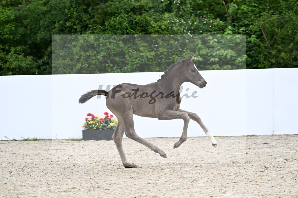 Extreme U.S. x Sezuan_HF_Schmid_13250027 | hf-fotografie - Realizzato con Pictrs.com