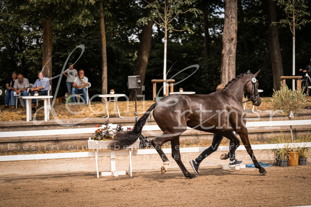 4.Fr00083 | Leoni Ertmer Photography - Realisiert mit Pictrs.com