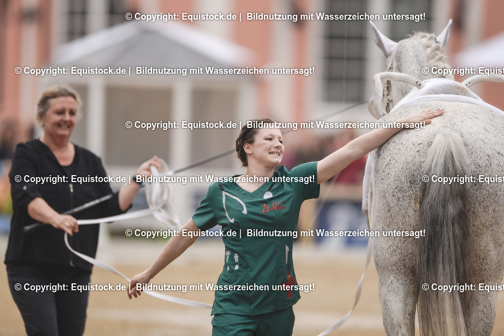 20240519_Voltige_0107 | Foto: Thomas Hartig