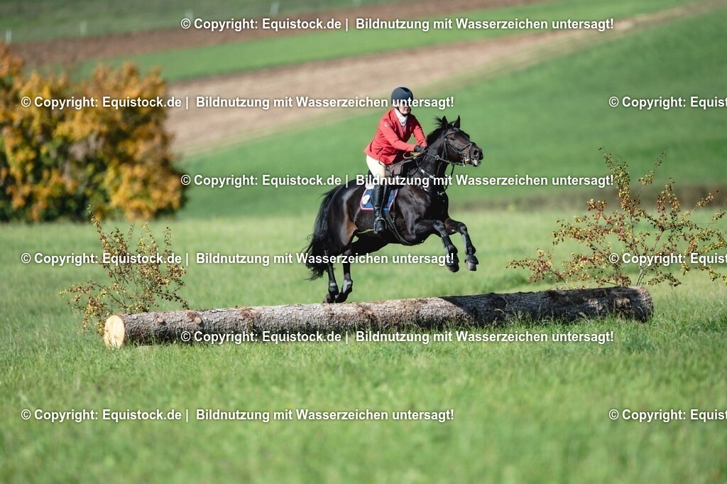 20251011_Jagd-Marbach_0218 | Foto: Thomas Hartig