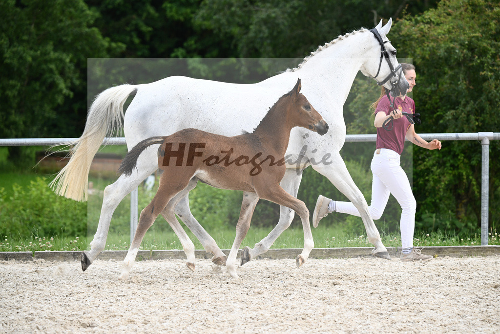 Diacord x Ciacomini_SF_Trukenbrod_20241153 | hf-fotografie - Realisiert mit Pictrs.com