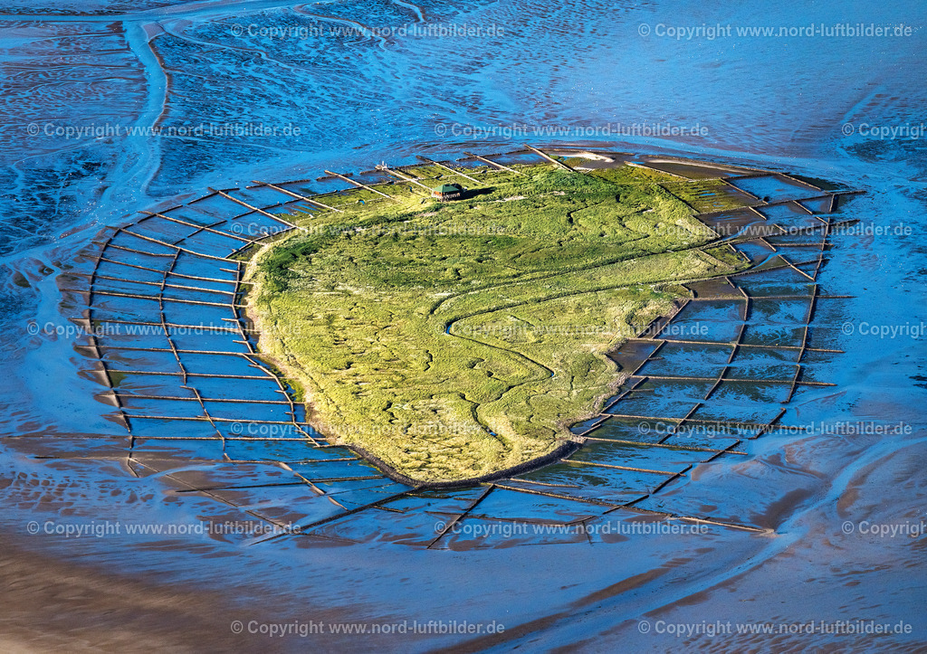 Norderoog_ELS_1990020718  | Hallig Norderoog - Aufnahmedatum: 02.07.2018, Aufnahmehöhe: 1228 m, Koordinaten: N54°30.627' - E8°26.000', Bildgröße: 6168 x  4354 Pixel - Copyright 2018 by Martin Elsen, Kontakt: Tel.: +49 157 74581206, E-Mail: info@schoenes-foto.de

Schlagwörter: Schleswig-Holstein,Hallig,Gezeiten,Warft,Wattenmeer,Watt,Vogelschutz,,Luftbild, Luftbilder, Deutschland