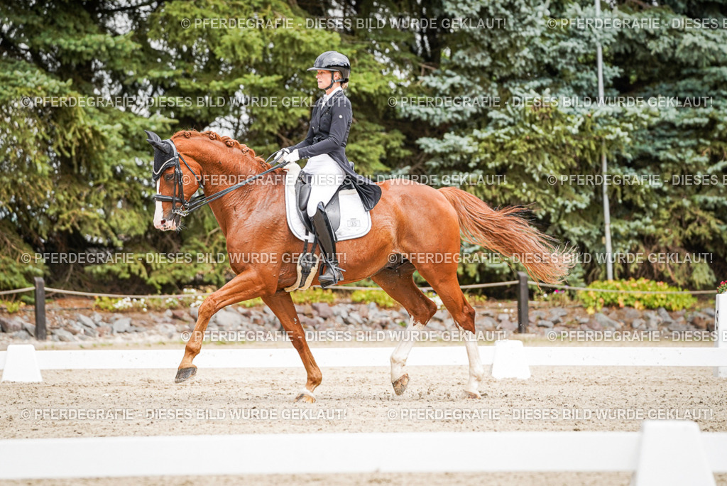 DSC05641 | Pferdegrafie