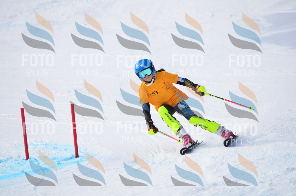 C7779 | holidayphoto