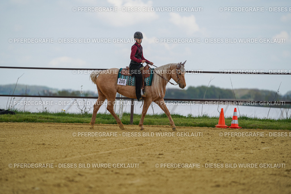 DSC05764 | Pferdegrafie