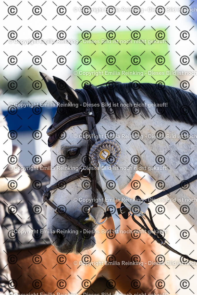 CL5A1005 | Emilia Reinking Fotografie - Realisiert mit Pictrs.com