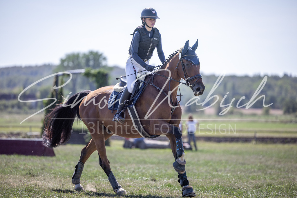 20260906-_3LI3864 | Tierfotografie Pferde, Hunde, Katzen, Haustiere.
Turnierfotografie Reitturniere, Reiten, Springreiten, Dressur in Hanau, dem Main-Kinzig-Kreis und dem Rhein-Main- Gebiet um Frankfurt
