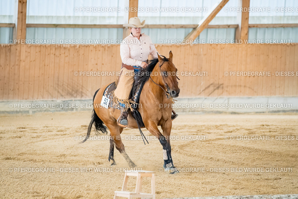 DSC07304 | Pferdegrafie