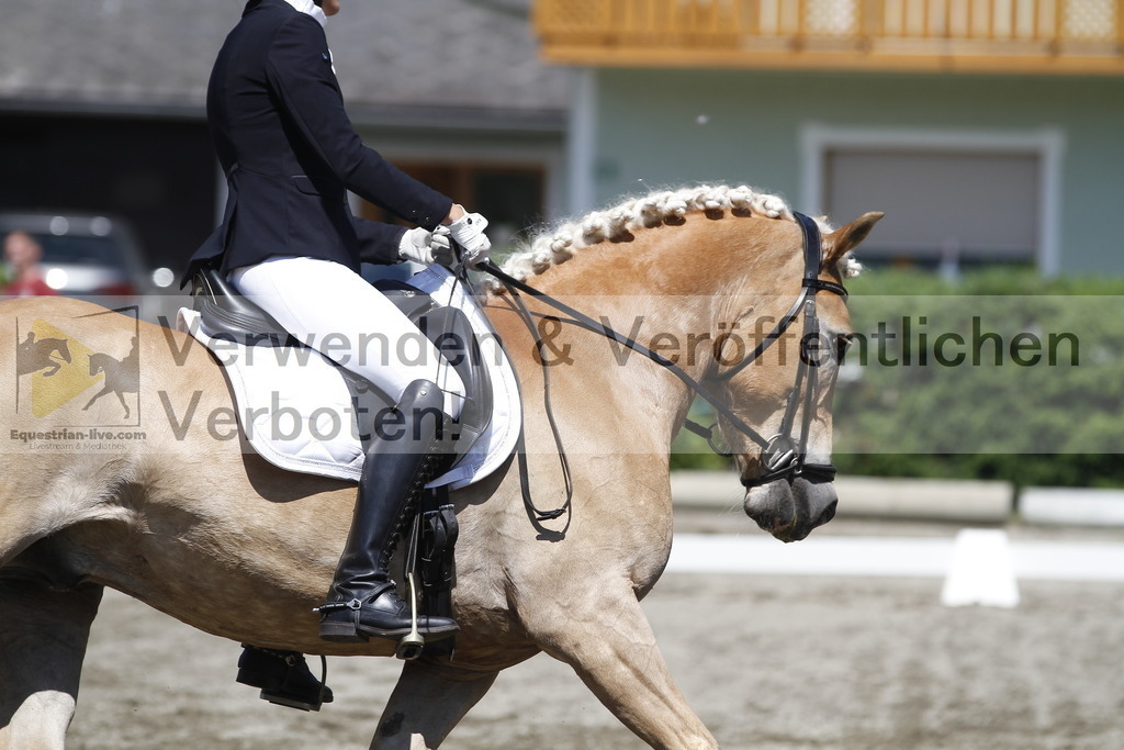 _MG_3969 | equestrian-live-com