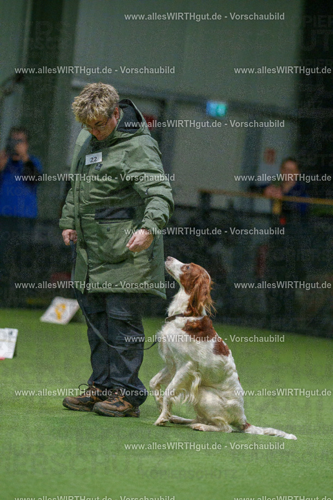 7R504798 | Professionelle Tierfotografie in Mönchengladbach von Daniel Wirth (allesWIRTHgut). Liebevolle & natürliche Bilder von Hunden & Katzen für unvergessliche Erinnerungen.