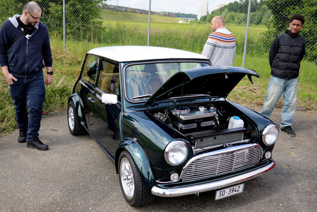Calag_Oldtimer2025-32 | Ich fotografiere Hundeausstellungen, Sportanlässe, Zuchtstätten, Hundezucht, Hundeportrait, Lagotto - Realisiert mit Pictrs.com