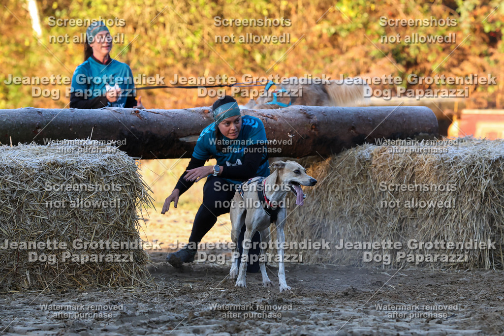 Dog Paparazzi - Strongdog 10-25-493 | Dog Paparazzi Jeanette Grottendiek Fotografie & Videografie - Realisiert mit Pictrs.com