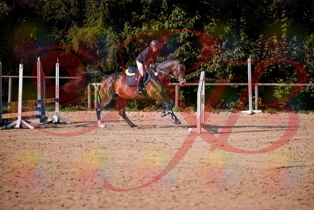 2026_10_03_Siefer-Hof_160008_Z81_80702136 | Professionelle Reitsport-, Turnier- und Eventfotografie von Robert Broda. Galerien mit ausgewählten und bearbeiteten Bildern direkt online ansehen und bestellen.