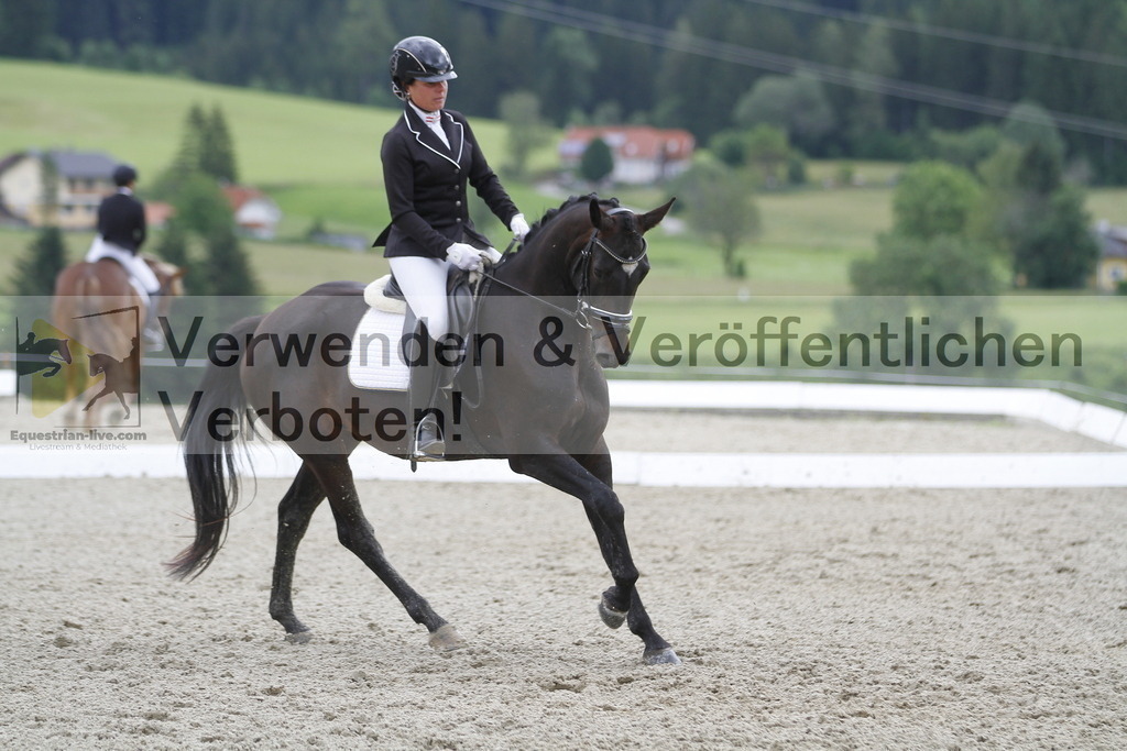 _MG_2906 | equestrian-live-com