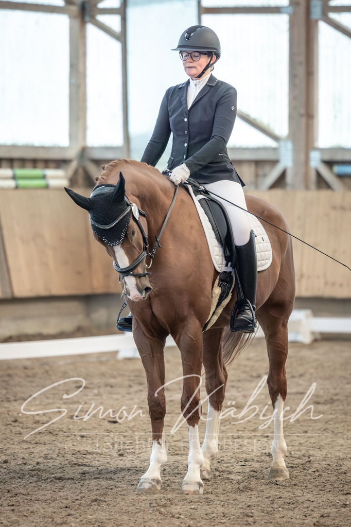 20251011-_3LI6179 | Tierfotografie Pferde, Hunde, Katzen, Haustiere.
Turnierfotografie Reitturniere, Reiten, Springreiten, Dressur in Hanau, dem Main-Kinzig-Kreis und dem Rhein-Main- Gebiet um Frankfurt