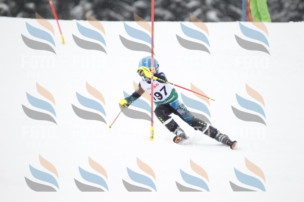 A2026 | holidayphoto