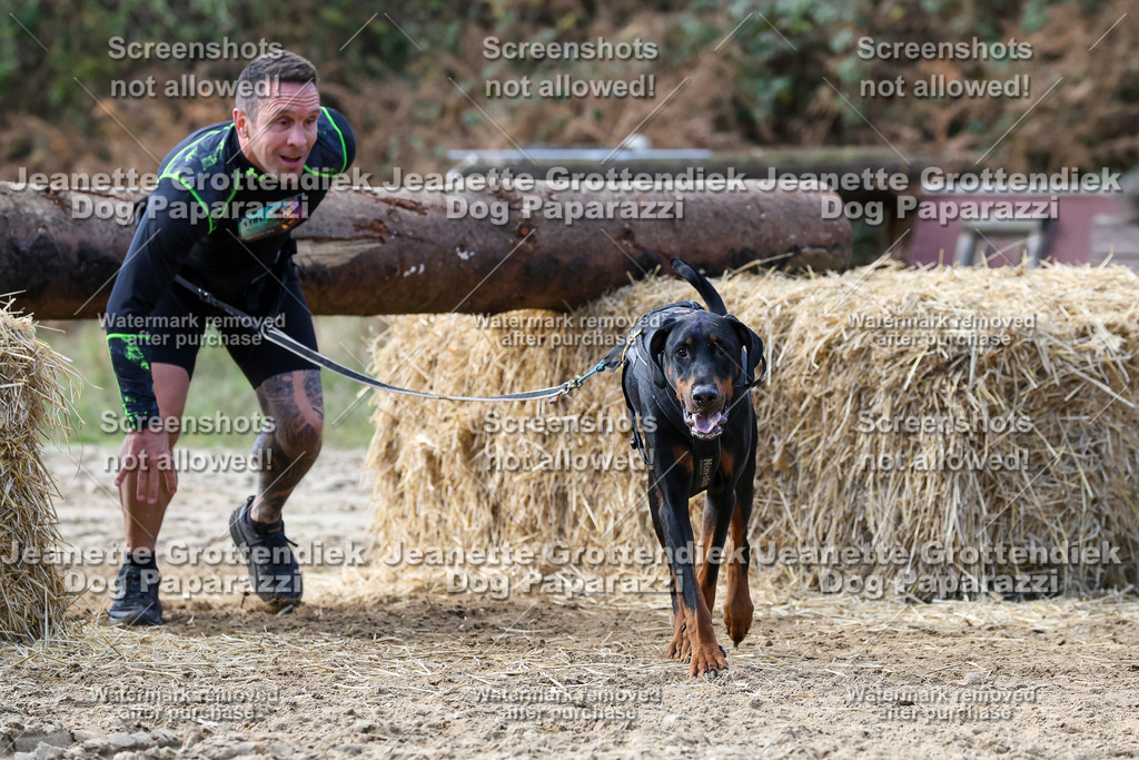 Dog Paparazzi - Strongdog 10-25-5436 | Dog Paparazzi Jeanette Grottendiek Fotografie & Videografie - Realisiert mit Pictrs.com
