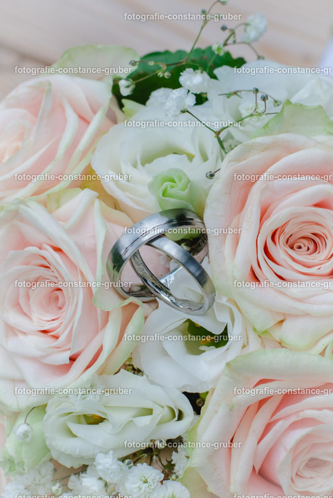 1019 | Fotografie Constance Gruber - Realisiert mit Pictrs.com