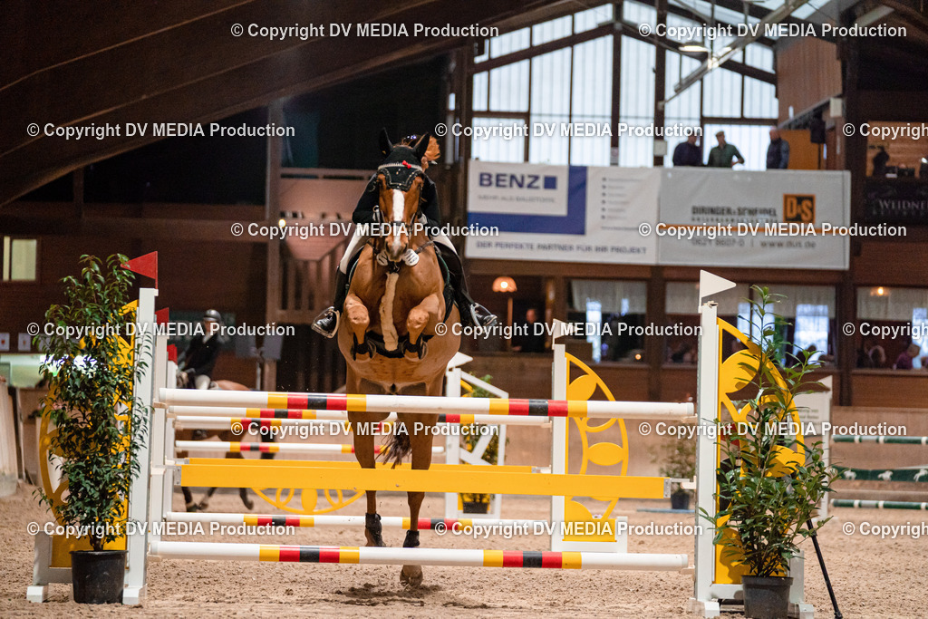 Springen Tag 2-812 | dv-media-shop - Realisiert mit Pictrs.com