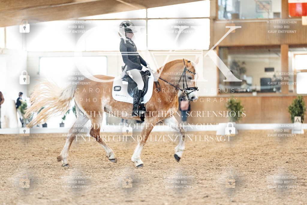 CK907383 | Turnierfotografie Pferdefotografie Trier Rheinland-Pfalz Pferdesport Reitsport Tierfotografie Sportfotografie Pferdevideo Pferdevideografie Equestrianvideography equestrianphotography  - Realisiert mit Pictrs.com