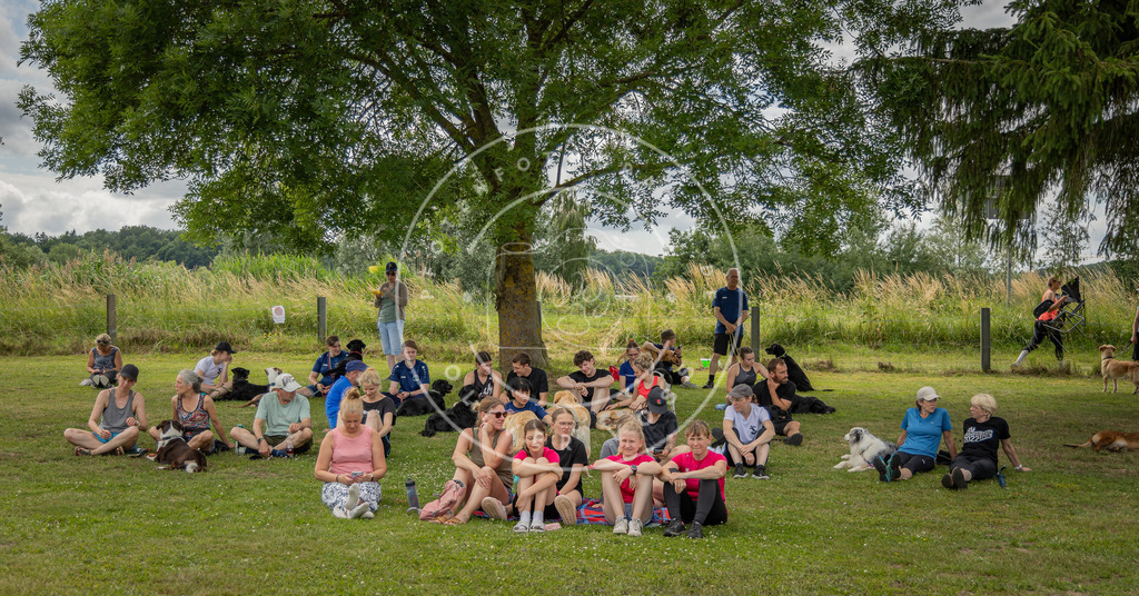 Pfotenfotografie_0L8A4194 | Hundefotografie, Tierfotograf, Pfotenfotografie, Fotoshooting Hund, Hunde Portrait, Hundesport, Hundeportraits, Heideshooting, Hunde, Sportfotograf, Hundefotograf, Turnierhundsport, THS,  - Realisiert mit Pictrs.com