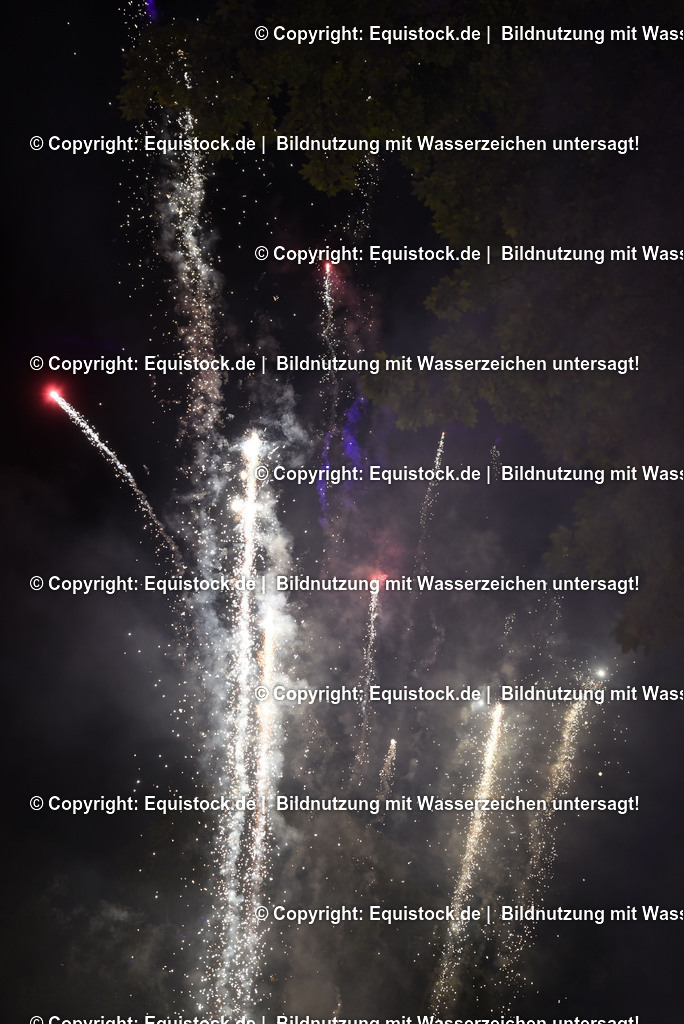 20230526_Pferdenacht_1618 | equistock