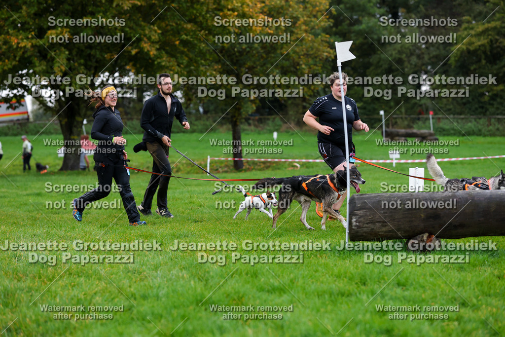 Dog Paparazzi -  SD1026-1380 | Dog Paparazzi Jeanette Grottendiek Fotografie & Videografie - Realisiert mit Pictrs.com