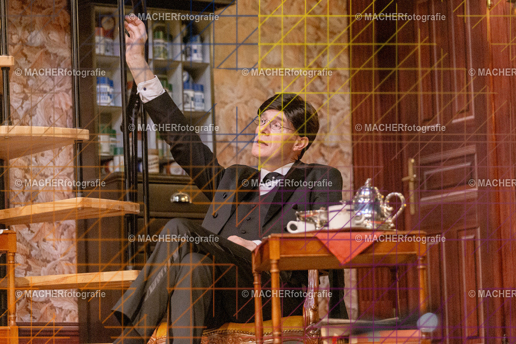 297_MFL-2025 | Portraitbilder von Regisseur; Darsteller; Techniker; Maske; Kostüme; Chor; Musiker; Bilderserie der Generalprobe und der Premierenvorstellung, Szenenbilder; Ausdrucksstudien; Bühnenüberblick; Bühnenkulissen; Pressefotos inkl. Redaktionsfoto Darstellergruppe.